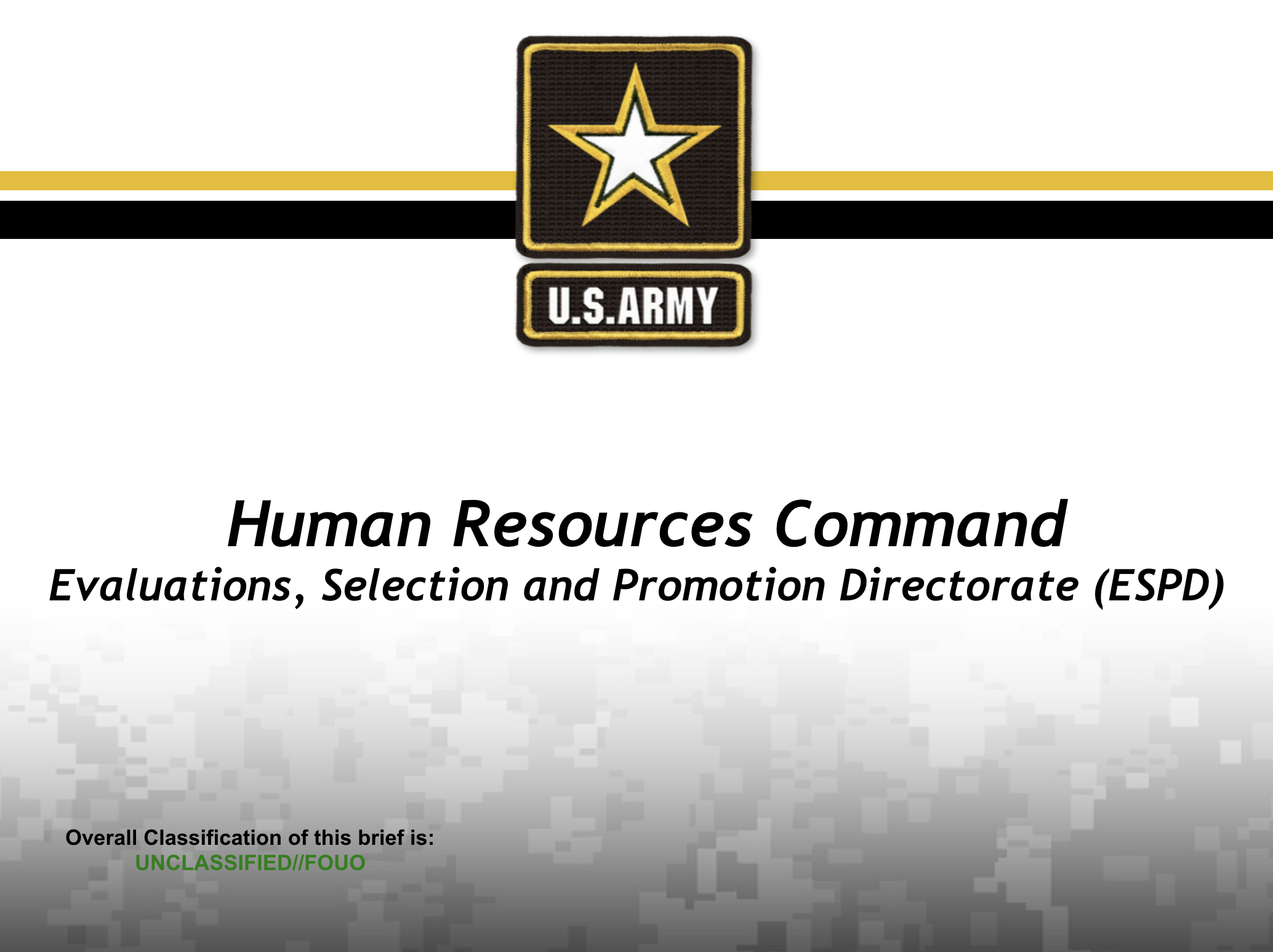 Enlisted Promotion System PowerPoint Ranger, Premade Military PPT