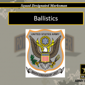 Ballistics (Squad Designated Marksman)