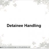 Detainee Handling