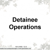 Detainee Operations