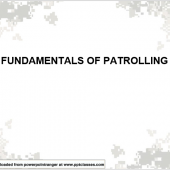 Fundamentals of Patrolling