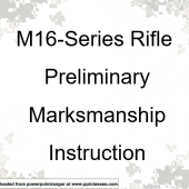 M16-series PMI