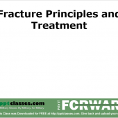 Principles and Treatment of Fractures