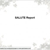 SALUTE Report