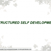 Structured Self Development (SSD) Briefing