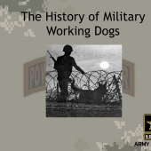 History of Army Working Dogs (MWD)