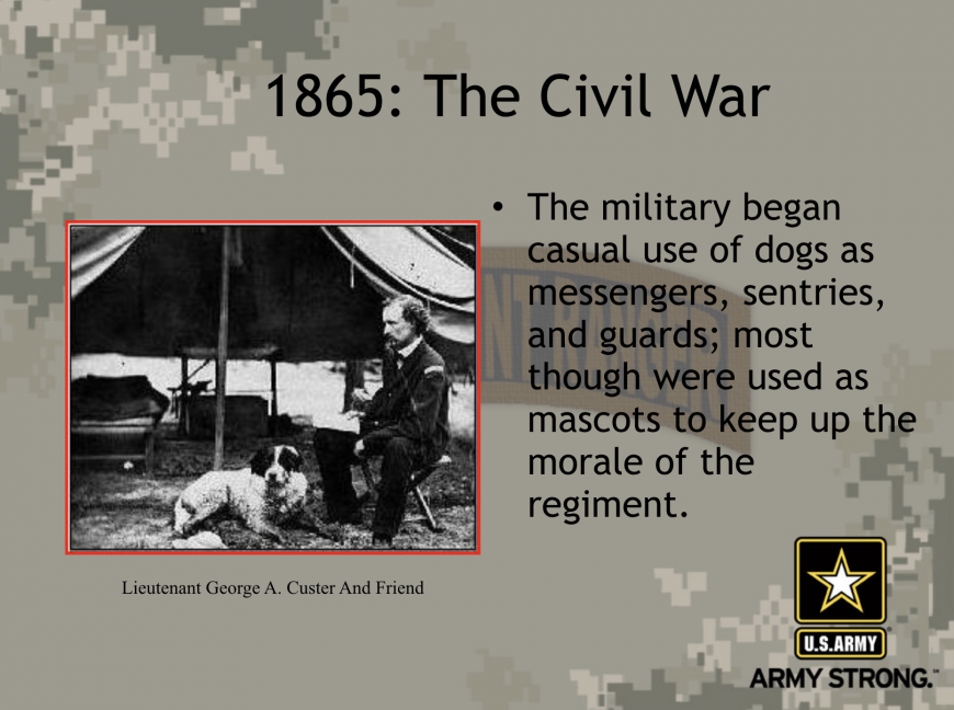 History of Army Working Dogs (MWD)
