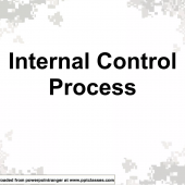 Army Managers Internal Control