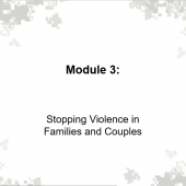 Stopping Violence in Families and Couples