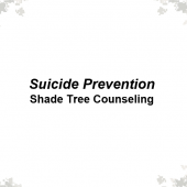 Suicides, a Shade Tree Counseling approach