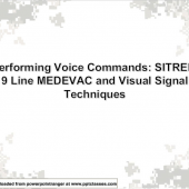 Perform Voice Commands