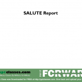 Report Intel using SALUTE