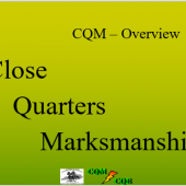 CQM, Level 1