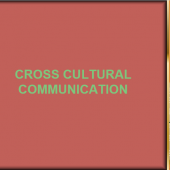 Cross Cultural Communication