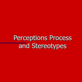 Equal Opportunity/ Perception and Stereotypes Briefing