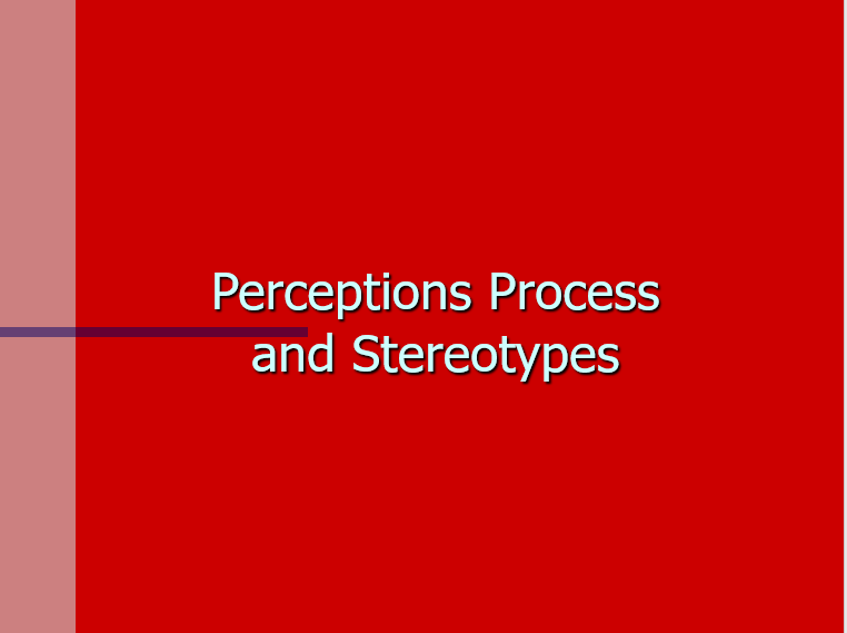 Equal Opportunity Perception and Stereotypes Briefing