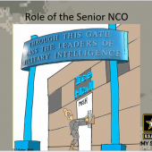 The Senior NCO