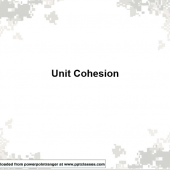 Unit Cohesion