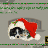 Xmas safety